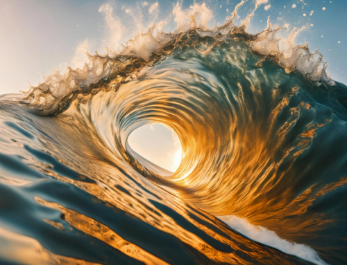 Riding the Waves: Keeping Up with the Latest Real Estate Market Trends